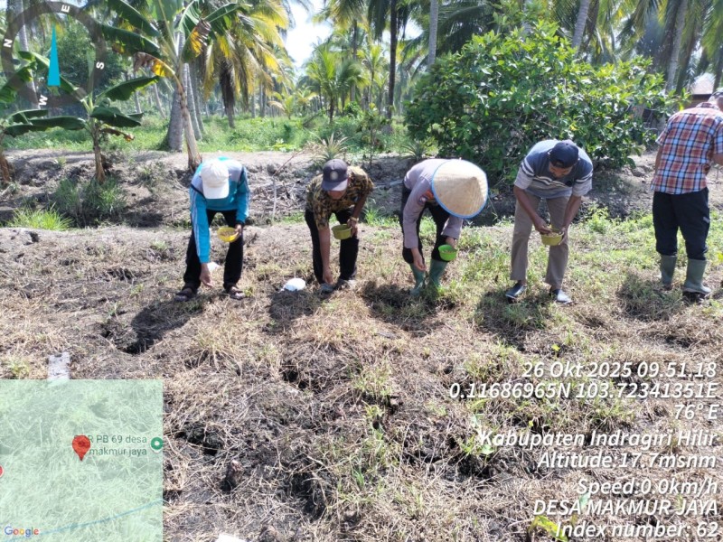 Polsek Kateman dan Pemerintah Desa Makmur Jaya Tanam Jagung Dukung Program Asta Cita Presiden RI