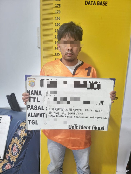 Berawal Dari Laporan Warga, Sat Resnarkoba Polres Kuansing Amankan ± 2 Kg Daun Ganja Kering