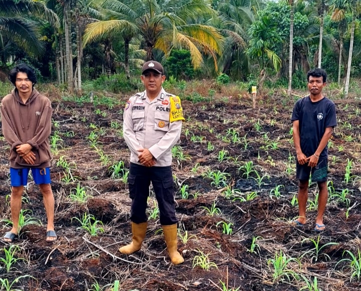Bhabinkamtibmas Polsek Teluk Belengkong Cek Pertumbuhan Jagung Warga di Griya Mukti Jaya