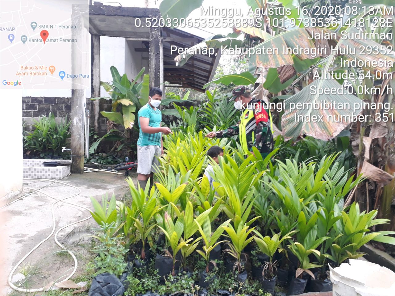Hari Libur, Serka Edi Kurniadi Kunjungi dan Berikan Motivasi Petani Pinang di Kelurahan Peranap
