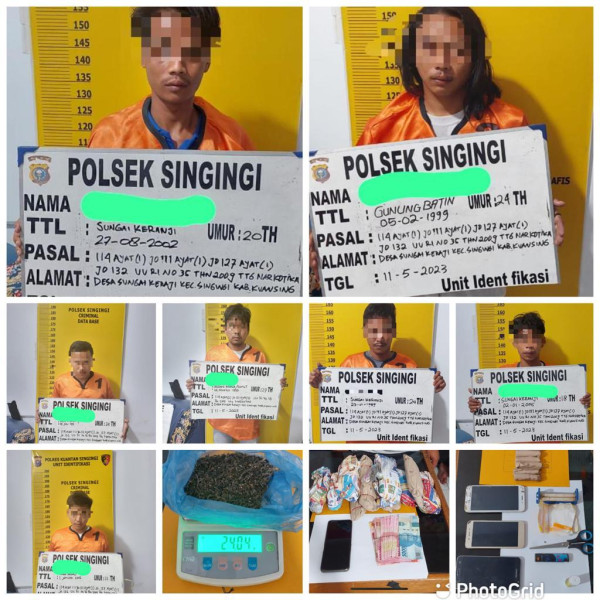 Polsek Singingi Berhasil Ungkap Peredaran Narkotika Jenis Daun Ganja Kering