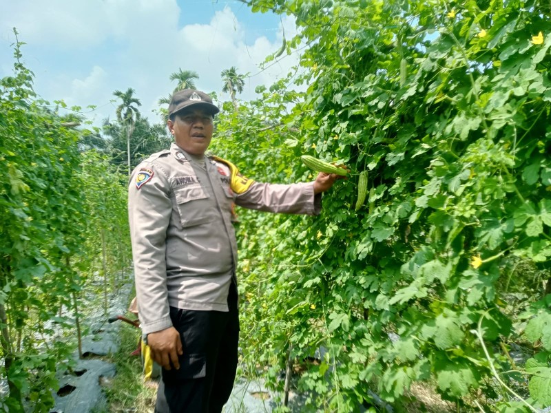 Polisi Cinta Petani, Bhabinkamtibmas Jajaran Polres Inhu Rutin Ajak Sukseskan Ketahanan Pangan